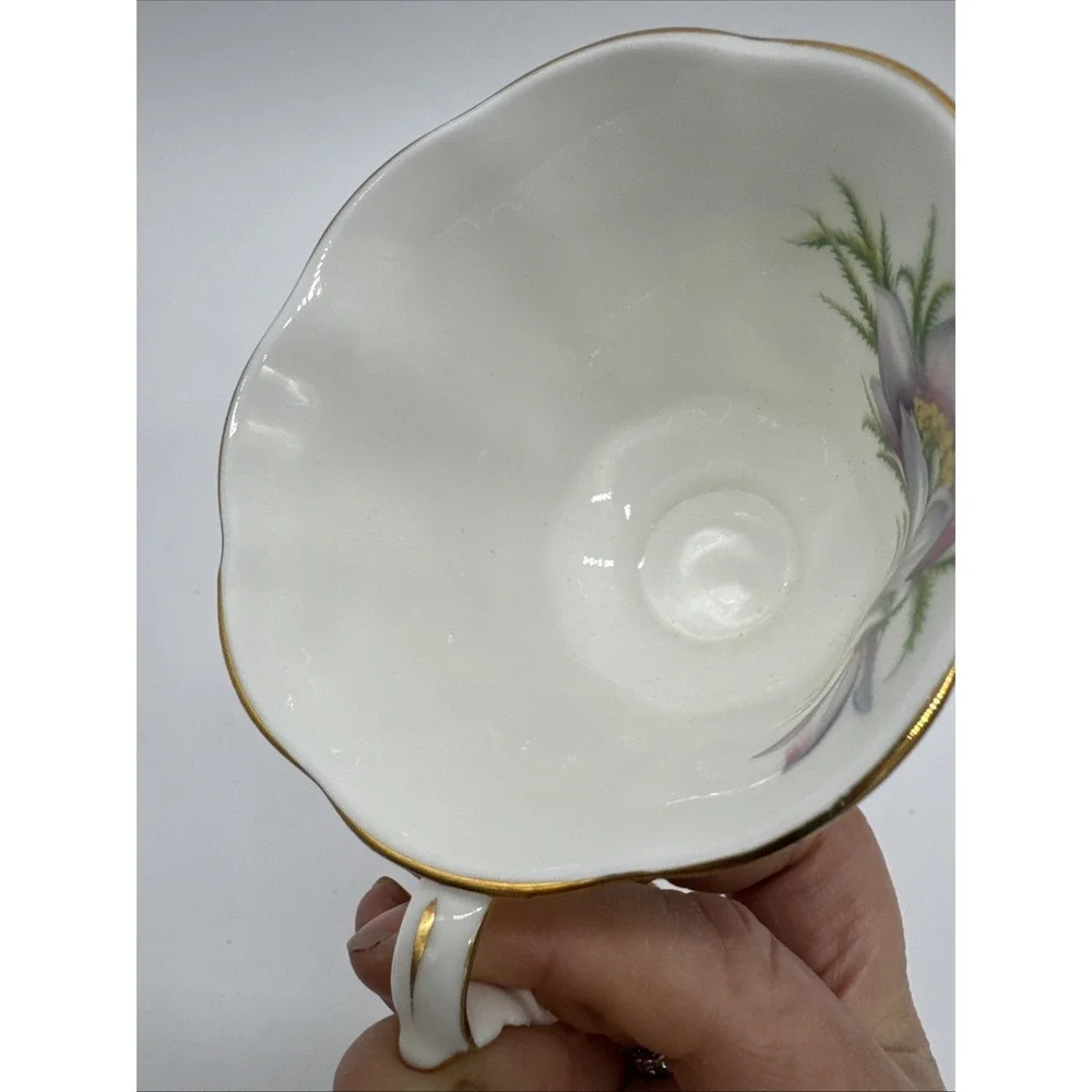 Vintage Royal Abert Provincial Flower Prairie Crocus Fine Bone‎ Teacup & Saucer